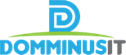 DomminusIT Logo
